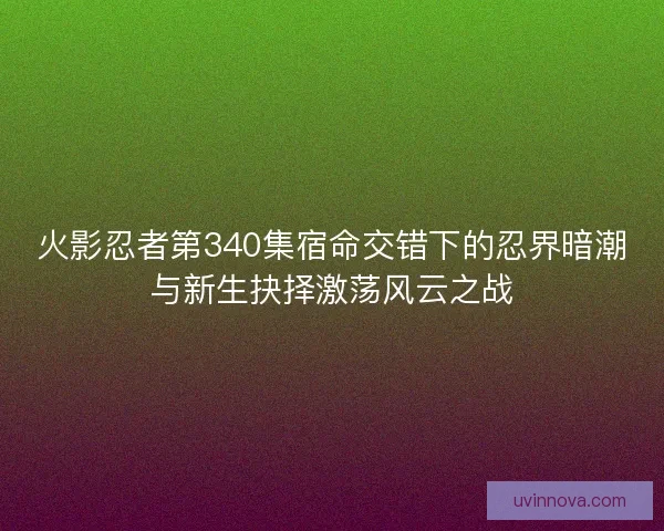 火影忍者第340集宿命交错下的忍界暗潮与新生抉择激荡风云之战